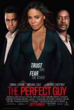 Watch The Perfect Guy Movie2k