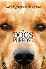 Watch A Dog's Purpose Movie2k