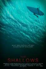 Watch The Shallows Movie2k