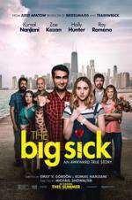 Watch The Big Sick Movie2k