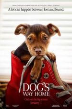 Watch A Dog's Way Home Movie2k