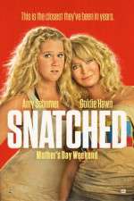 Watch Snatched Movie2k