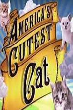 Watch America's Cutest Cat Movie2k