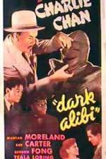 Watch Dark Alibi Movie2k