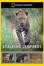 Watch National Geographic: Stalking Leopards Movie2k