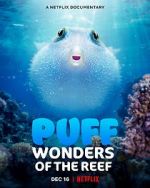 Watch Puff: Wonders of the Reef Movie2k