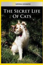 Watch National Geographic The Secret Life of Cats Movie2k