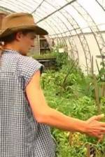 Watch Green House Seeds Strain Hunters India Expedition Movie2k