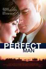 Watch A Perfect Man Movie2k