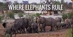Watch Where Elephants Rule Movie2k