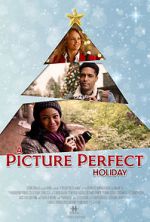 Watch A Picture Perfect Holiday Movie2k