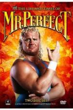 Watch The Life and Times of Mr Perfect Movie2k