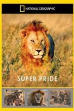 Watch National Geographic: Super Pride Africa\'s Largest Lion Pride Movie2k