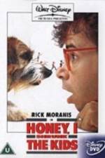 Watch Honey, I Shrunk the Kids Movie2k