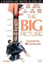 Watch The Big Picture Movie2k