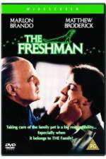 Watch The Freshman Movie2k