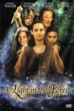 Watch A Light in the Forest Movie2k