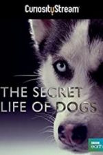 Watch Secret Life of Dogs Movie2k