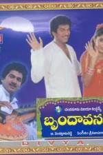 Watch Brundavanam Movie2k