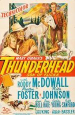 Watch Thunderhead: Son of Flicka Movie2k