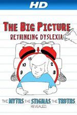 Watch The Big Picture Rethinking Dyslexia Movie2k