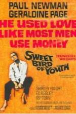 Watch Sweet Bird of Youth Movie2k