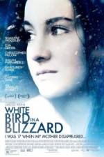 Watch White Bird in a Blizzard Movie2k