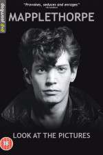 Watch Mapplethorpe: Look at the Pictures Movie2k