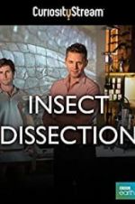 Watch Insect Dissection: How Insects Work Movie2k