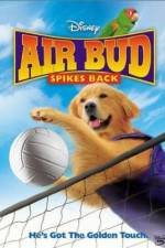 Watch Air Bud Spikes Back Movie2k