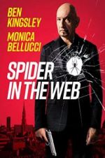 Watch Spider in the Web Movie2k