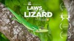 Watch Laws of the Lizard Movie2k