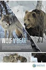 Watch Wolf vs Bear Movie2k