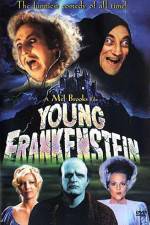 Watch Young Frankenstein Movie2k