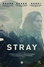 Watch Stray Movie2k