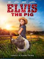 Watch Elvis the Pig Movie2k