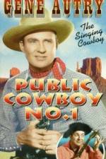 Watch Public Cowboy No 1 Movie2k