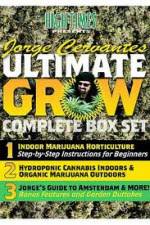 Watch Jorge Cervantes Ultimate Grow Complete Box Set Movie2k