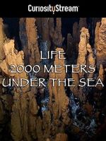 Watch Life 2,000 Meters Under the Sea Movie2k