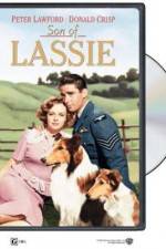 Watch Son of Lassie Movie2k