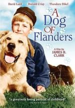 Watch A Dog of Flanders Movie2k