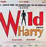 Watch Wild About Harry Movie2k