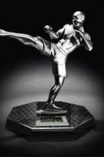 Watch World MMA Awards 2010 Movie2k