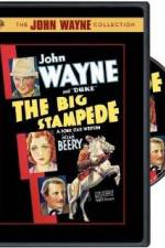 Watch The Big Stampede Movie2k