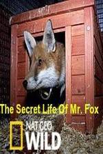 Watch The Secret Life of Mr. Fox Movie2k