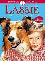 Watch Lassie: A New Beginning Movie2k