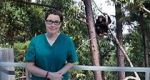 Watch Sue Perkins and the Chimp Sanctuary Movie2k