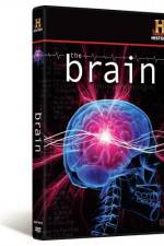 Watch The Brain Movie2k