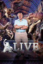 Watch David Attenborough\'s Natural History Museum Alive Movie2k