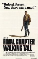 Watch Final Chapter: Walking Tall Movie2k